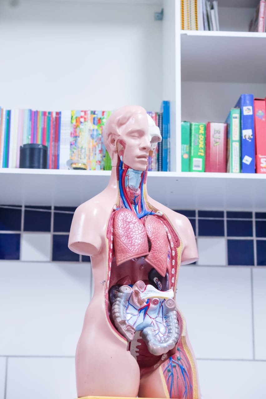 WhatsApp Image 2025-11-14 at 13.31.45